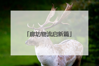 廊坊物流启新篇