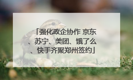 强化政企协作 京东、苏宁、美团、饿了么、快手齐聚郑州签约