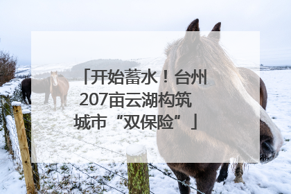 开始蓄水！台州207亩云湖构筑城市“双保险”