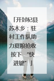 开封杞县苏木乡：驻村工作队助力夏粮抢收按下 “快进键”