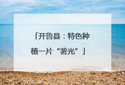 开鲁县：特色种植一片“薯光”