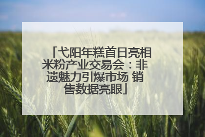 弋阳年糕首日亮相米粉产业交易会：非遗魅力引爆市场 销售数据亮眼