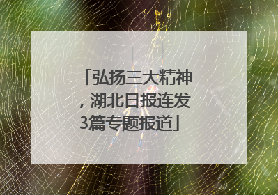弘扬三大精神，湖北日报连发3篇专题报道