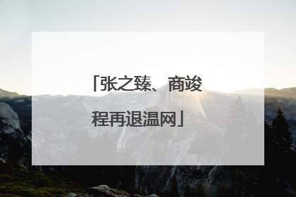 张之臻、商竣程再退温网