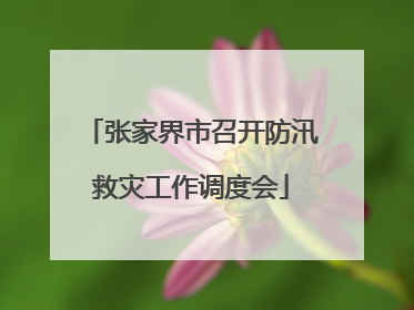 张家界市召开防汛救灾工作调度会