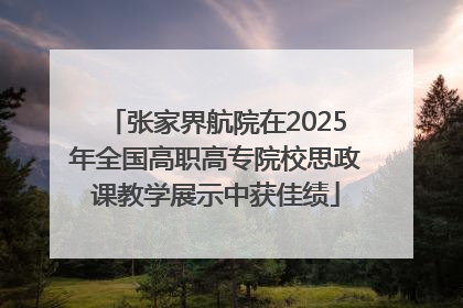 张家界航院在2025年全国高职高专院校思政课教学展示中获佳绩