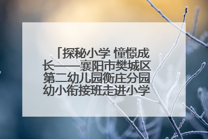 探秘小学 憧憬成长——襄阳市樊城区第二幼儿园衡庄分园幼小衔接班走进小学开展参观体验活动