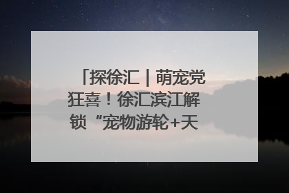 探徐汇｜萌宠党狂喜！徐汇滨江解锁“宠物游轮+天台乐园”双玩法