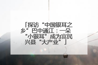 探访“中国银耳之乡”巴中通江：一朵“小银耳”成为富民兴县“大产业”