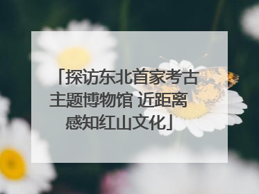 探访东北首家考古主题博物馆 近距离感知红山文化