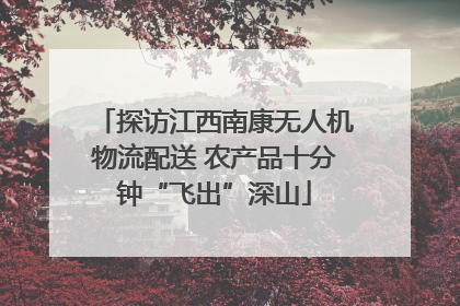 探访江西南康无人机物流配送 农产品十分钟“飞出”深山