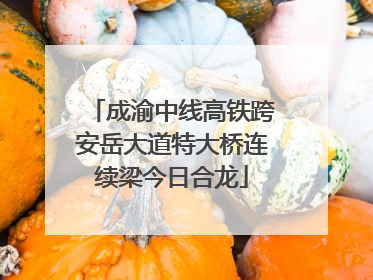 成渝中线高铁跨安岳大道特大桥连续梁今日合龙