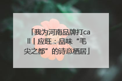 我为河南品牌打call丨应旺：品味“毛尖之都”的诗意栖居