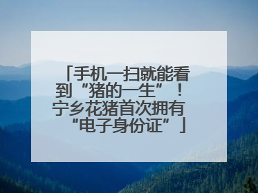 手机一扫就能看到“猪的一生”！宁乡花猪首次拥有“电子身份证”