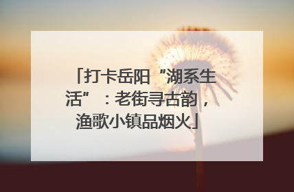 打卡岳阳“湖系生活”：老街寻古韵，渔歌小镇品烟火