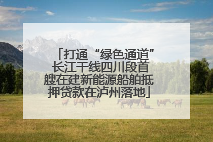 打通“绿色通道” 长江干线四川段首艘在建新能源船舶抵押贷款在泸州落地