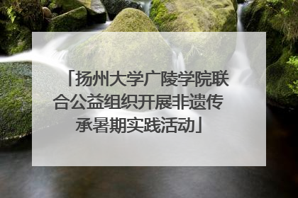 扬州大学广陵学院联合公益组织开展非遗传承暑期实践活动