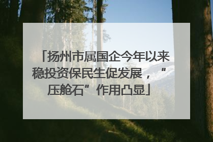 扬州市属国企今年以来稳投资保民生促发展，“压舱石”作用凸显