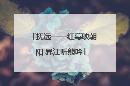 抚远——红莓映朝阳 界江听熊吟