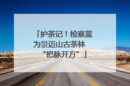 护茶记！检察蓝为景迈山古茶林 “把脉开方”