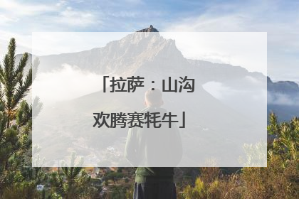 拉萨：山沟欢腾赛牦牛