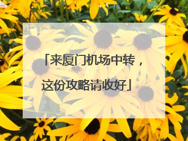 来厦门机场中转，这份攻略请收好