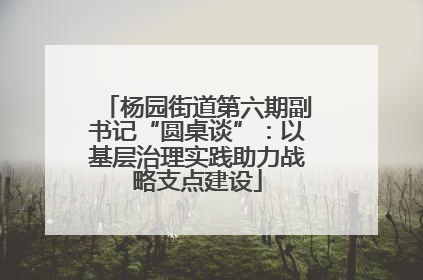 杨园街道第六期副书记“圆桌谈”：以基层治理实践助力战略支点建设