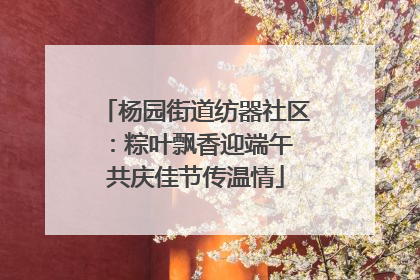 杨园街道纺器社区：粽叶飘香迎端午 共庆佳节传温情