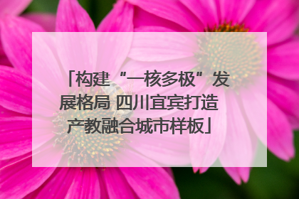 构建“一核多极”发展格局 四川宜宾打造产教融合城市样板