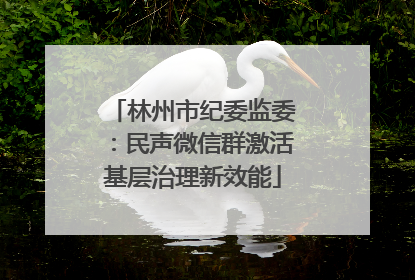 林州市纪委监委：民声微信群激活基层治理新效能
