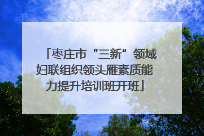 枣庄市“三新”领域妇联组织领头雁素质能力提升培训班开班