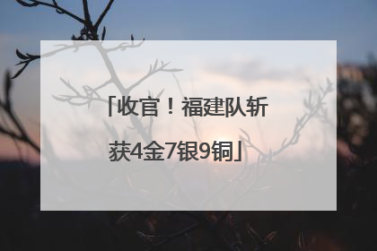 收官！福建队斩获4金7银9铜