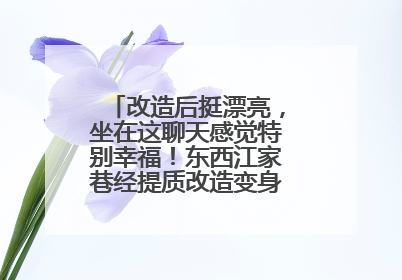 改造后挺漂亮，坐在这聊天感觉特别幸福！东西江家巷经提质改造变身居民自治幸福家
