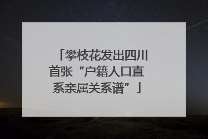 攀枝花发出四川首张“户籍人口直系亲属关系谱”