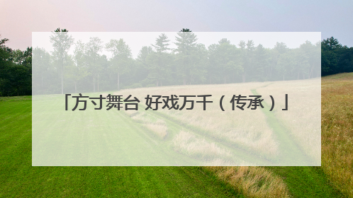 方寸舞台 好戏万千（传承）