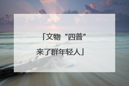 文物“四普”来了群年轻人