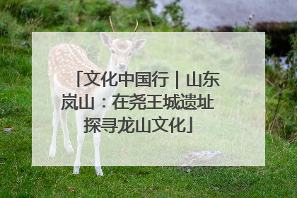 文化中国行｜山东岚山：在尧王城遗址探寻龙山文化