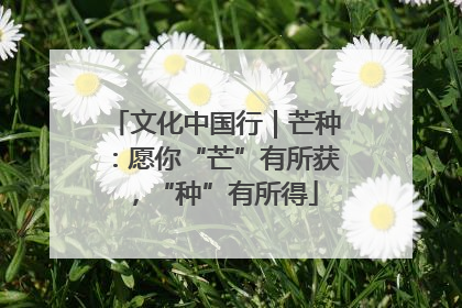 文化中国行｜芒种：愿你“芒”有所获，“种”有所得