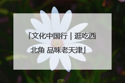 文化中国行｜逛吃西北角 品味老天津