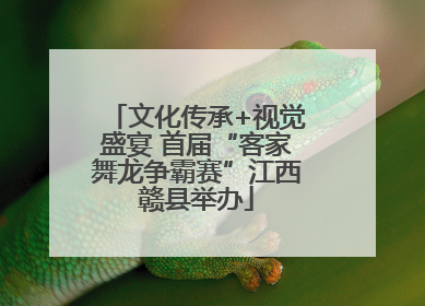 文化传承+视觉盛宴 首届“客家舞龙争霸赛”江西赣县举办
