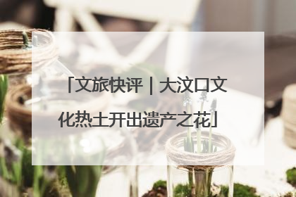 文旅快评｜大汶口文化热土开出遗产之花