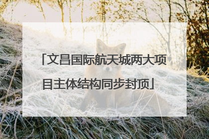文昌国际航天城两大项目主体结构同步封顶