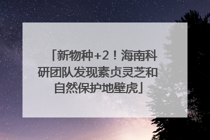 新物种+2！海南科研团队发现素贞灵芝和自然保护地壁虎