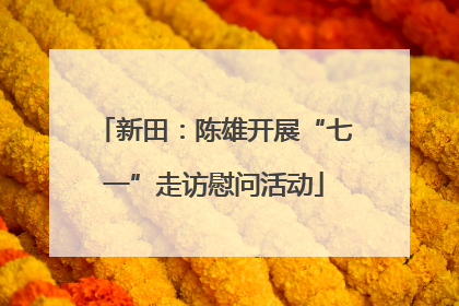 新田：陈雄开展“七一”走访慰问活动