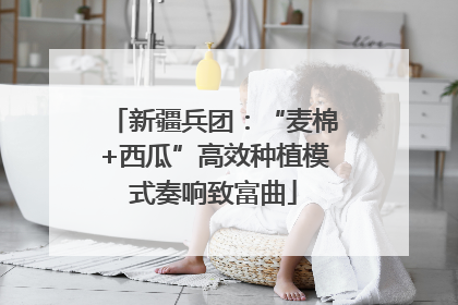 新疆兵团：“麦棉+西瓜”高效种植模式奏响致富曲