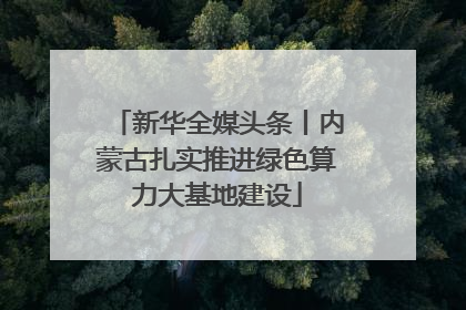 新华全媒头条丨内蒙古扎实推进绿色算力大基地建设
