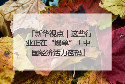 新华视点｜这些行业正在“爆单”！中国经济活力密码