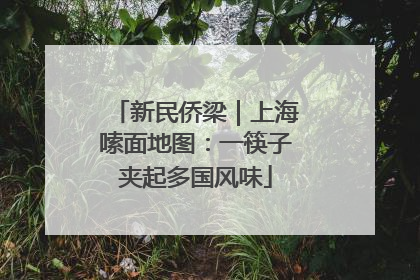 新民侨梁｜上海嗦面地图：一筷子夹起多国风味