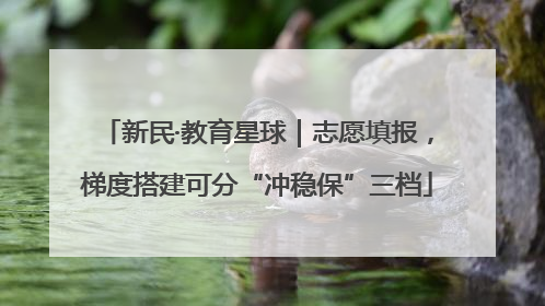 新民·教育星球｜志愿填报，梯度搭建可分“冲稳保”三档