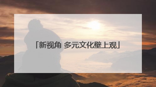 新视角 多元文化壁上观